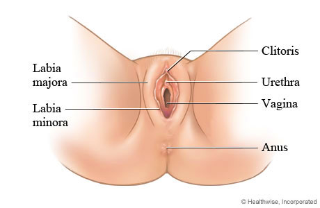 Difficulty with Arousal or Orgasm in Women